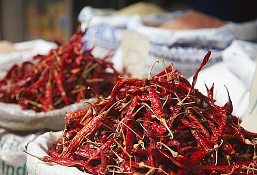Dried Red Chilies