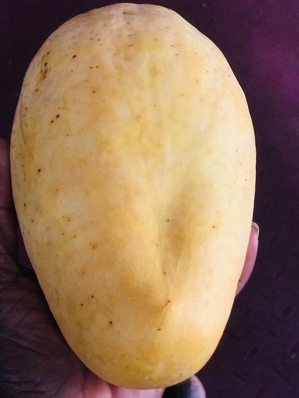 Ceylon Mango